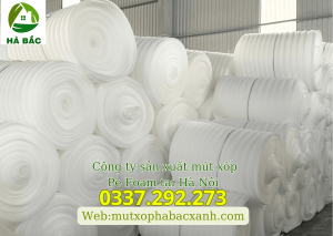 Công ty sản xuất mút xốp Pe Foam tại Hà Nội