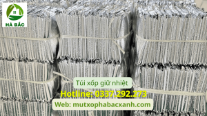 Túi xốp giữ nhiệt