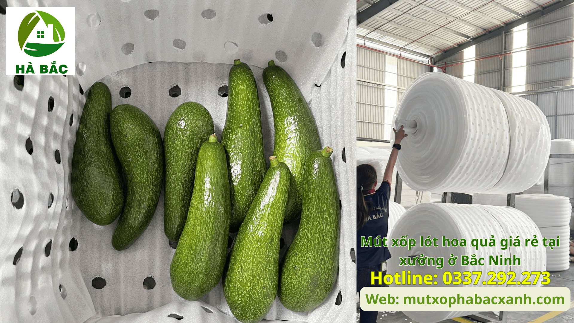 Mút xốp lót hoa quả giá rẻ tại xưởng ở Bắc Ninh