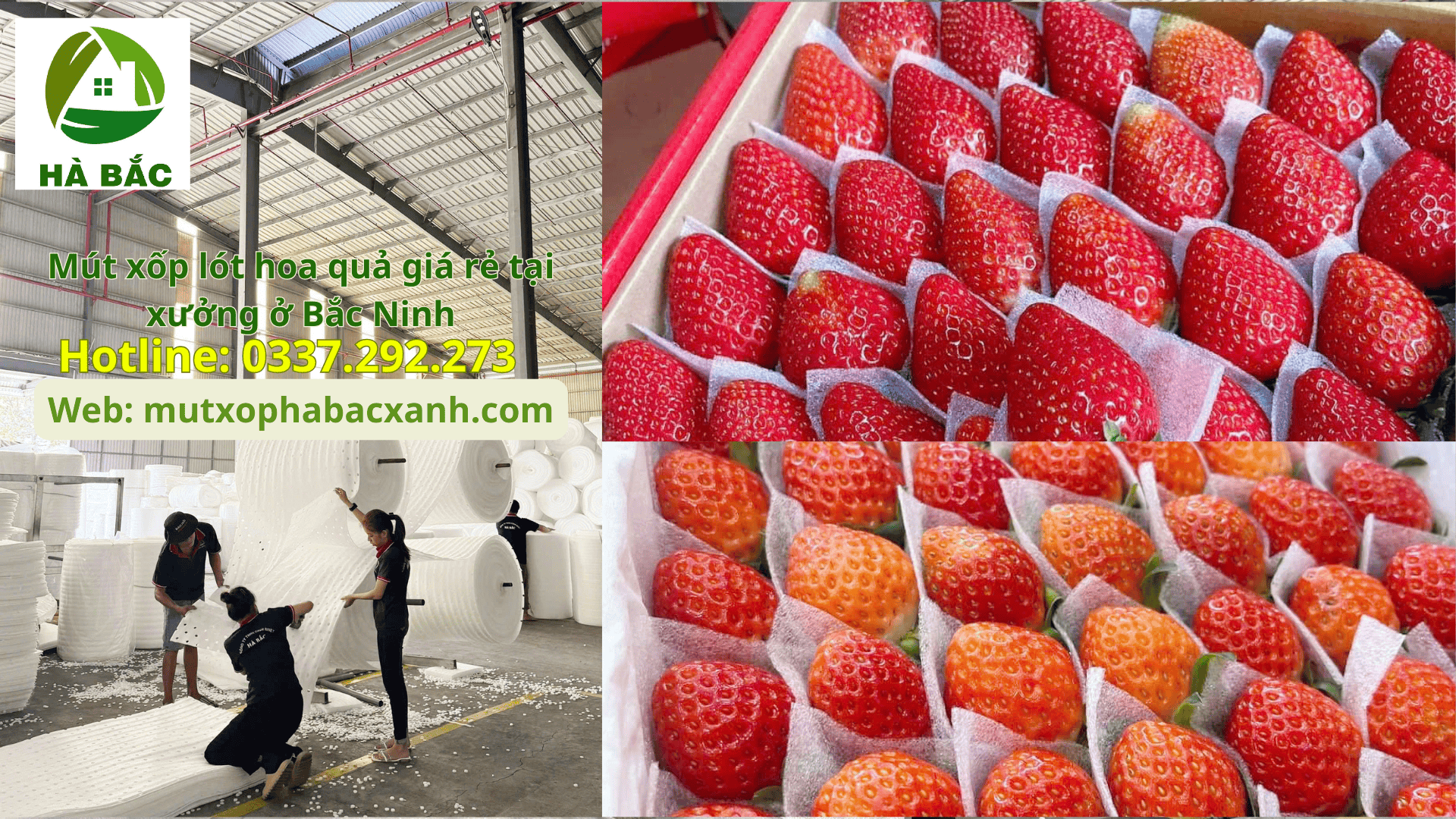 Mút xốp lót hoa quả giá rẻ tại xưởng ở Bắc Ninh