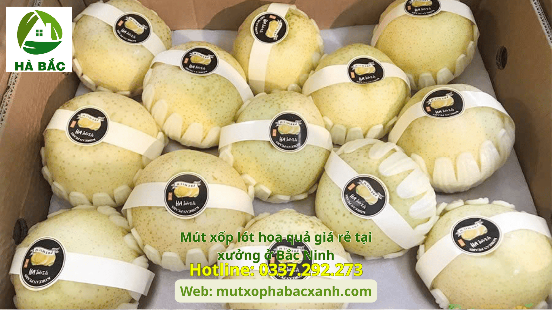 Mút xốp lót hoa quả giá rẻ tại xưởng ở Bắc Ninh