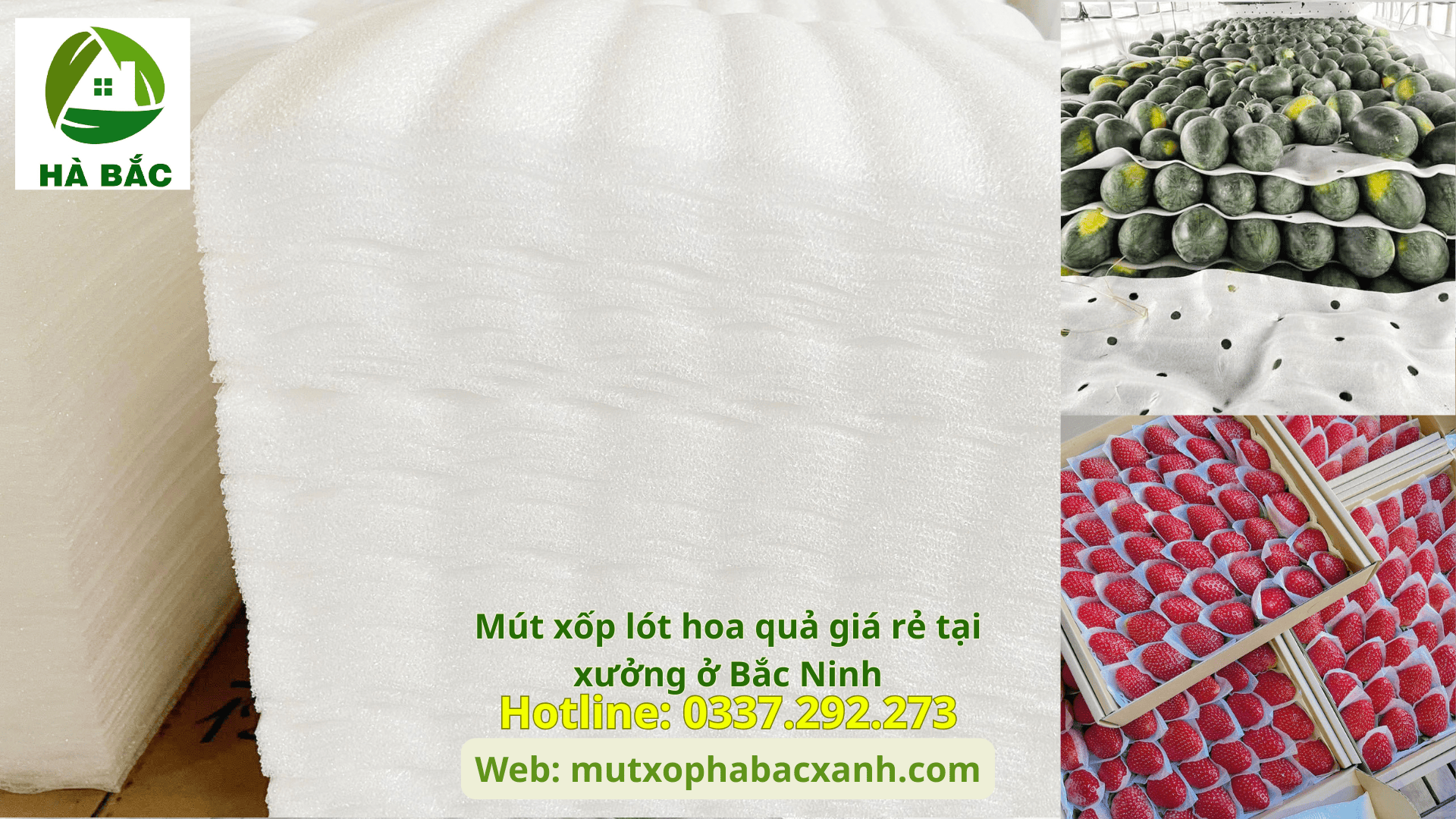 Mút xốp lót hoa quả giá rẻ tại xưởng ở Bắc Ninh