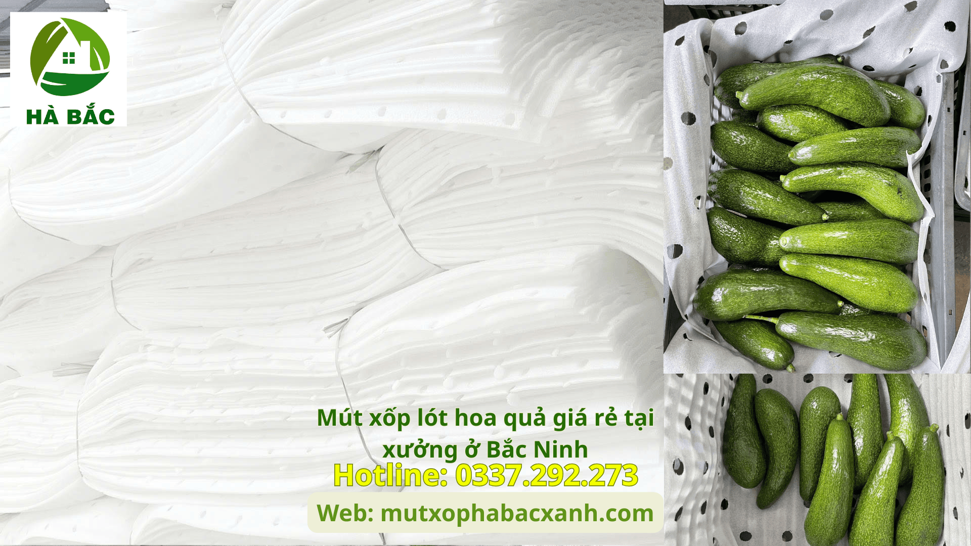 Mút xốp lót hoa quả giá rẻ tại xưởng ở Bắc Ninh