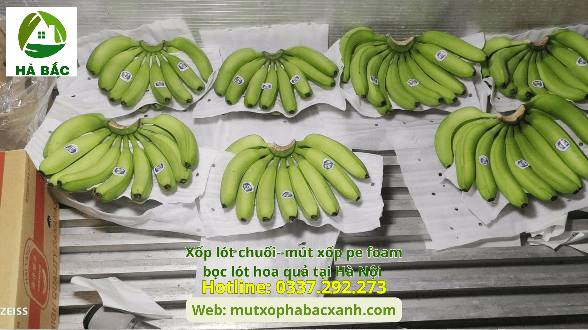 Xốp lót chuối- mút xốp pe foam bọc lót hoa quả tại Hải Dương