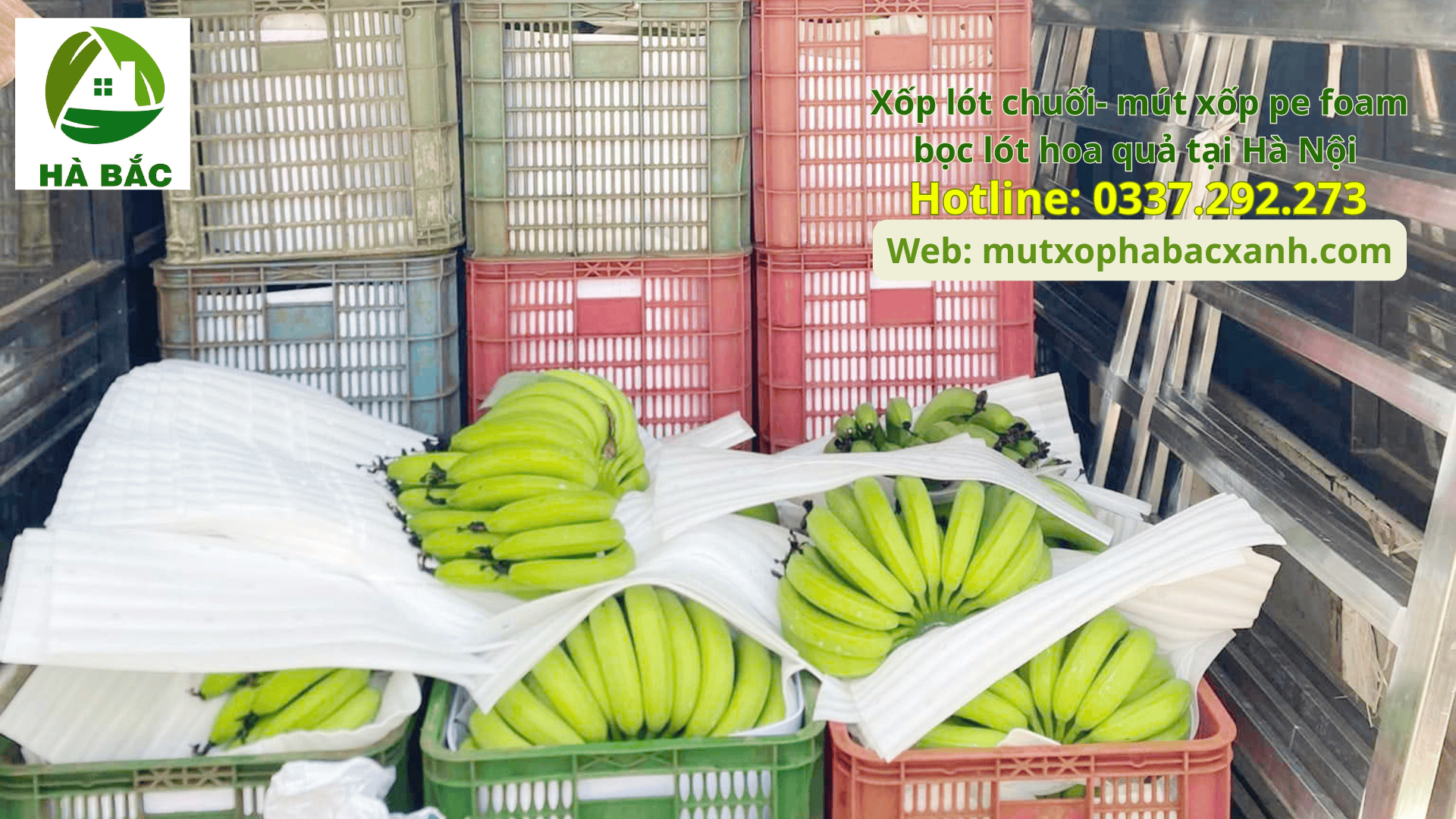 Xốp lót chuối- mút xốp pe foam bọc lót hoa quả tại Hải Dương