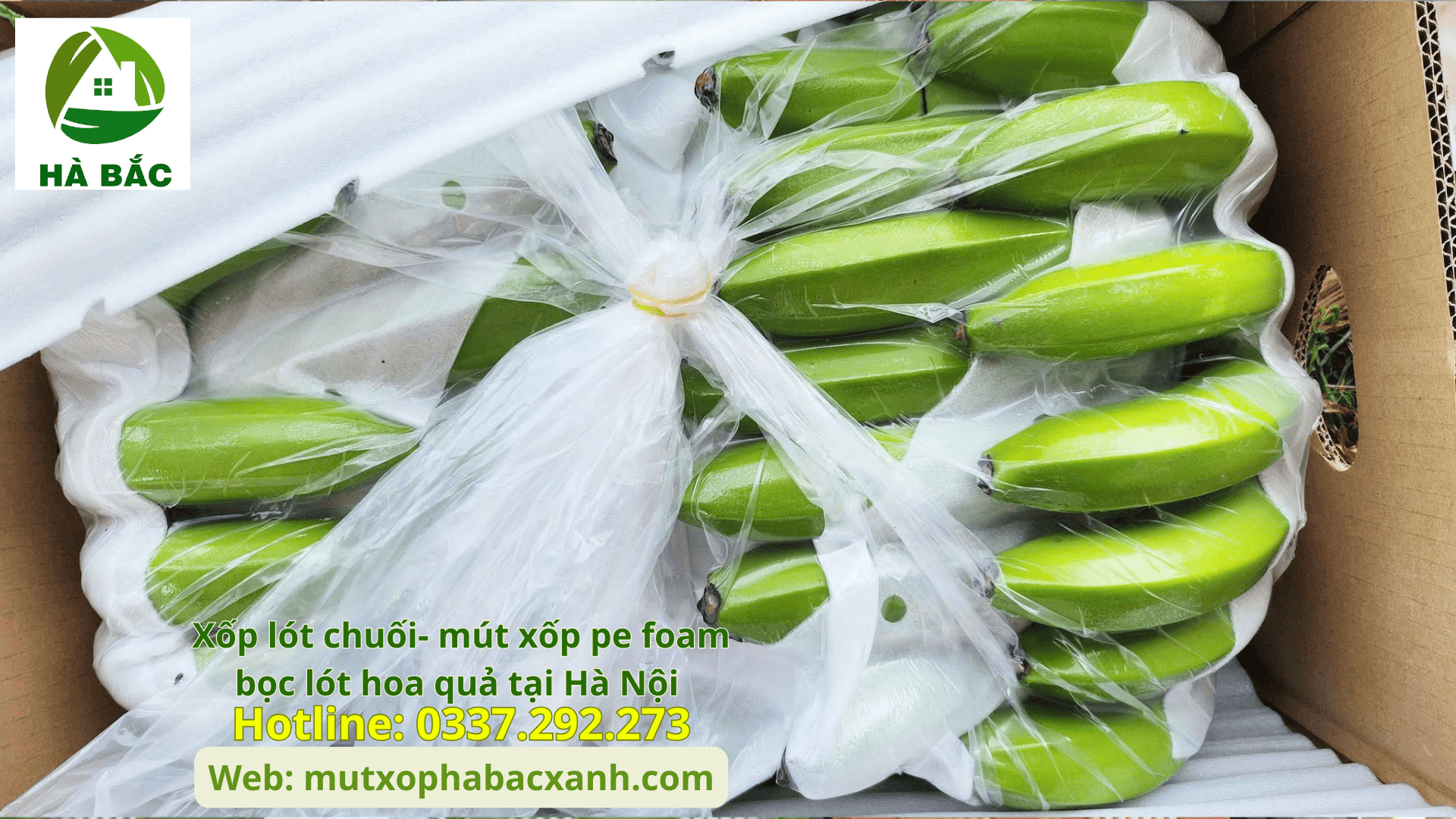 Xốp lót chuối- mút xốp pe foam bọc lót hoa quả tại Hải Dương