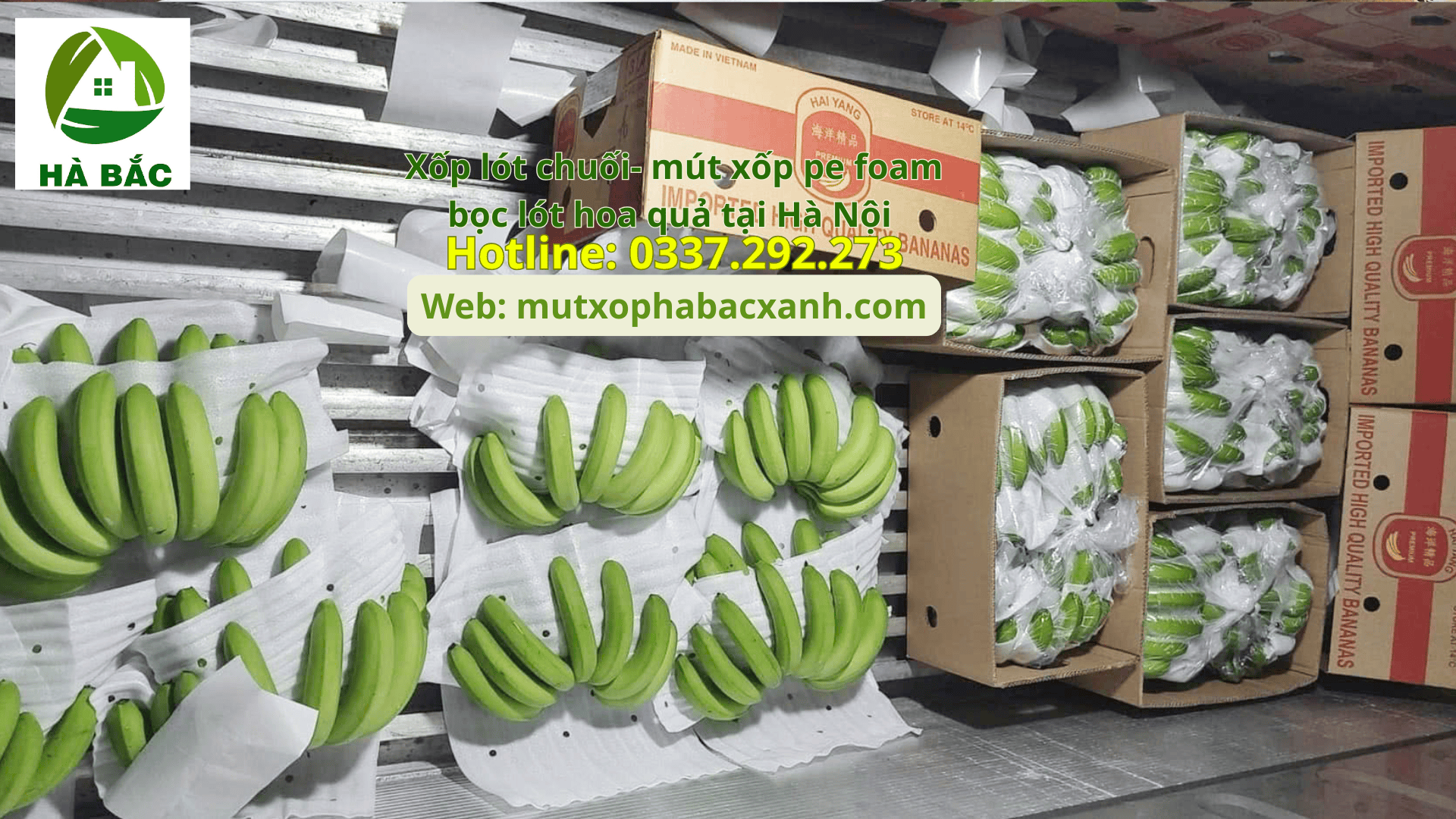 Xốp lót chuối- mút xốp pe foam bọc lót hoa quả tại Hải Dương