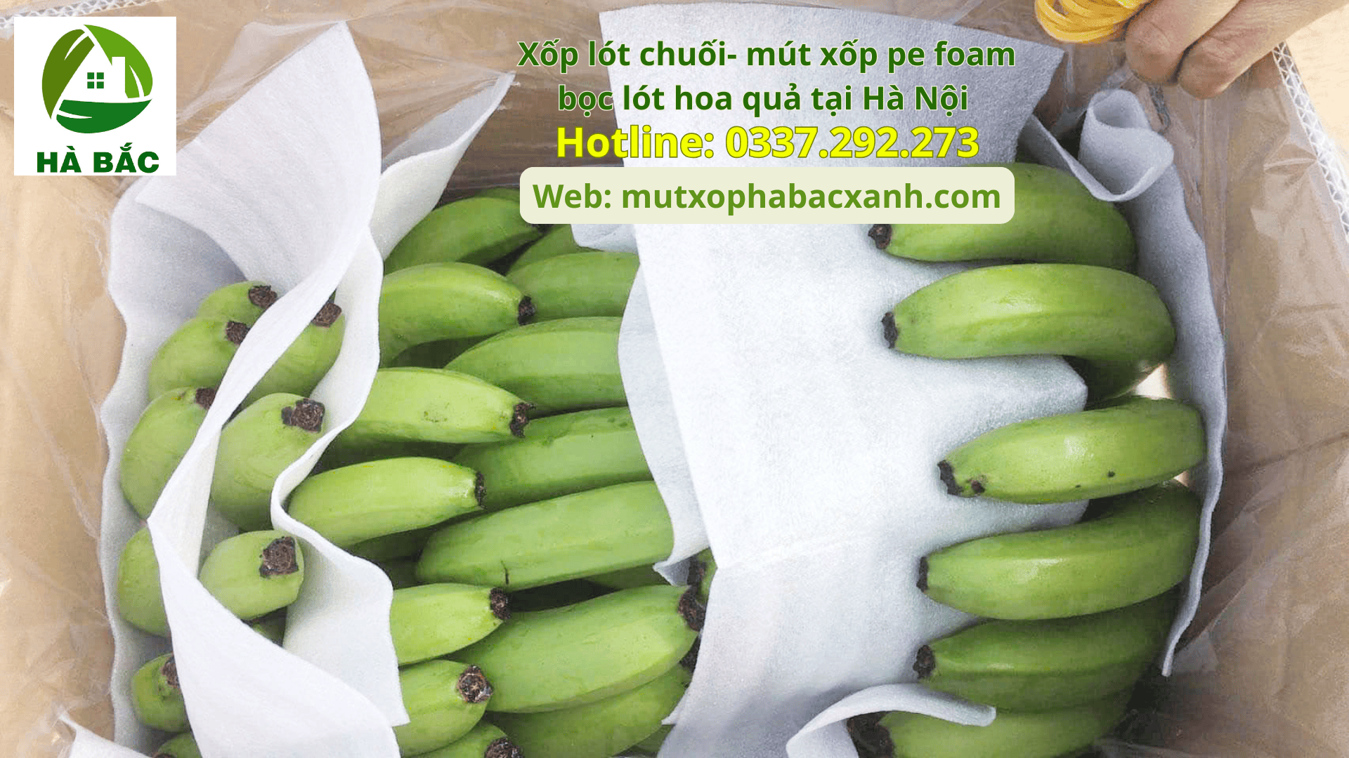 Xốp lót chuối- mút xốp pe foam bọc lót hoa quả tại Hải Dương