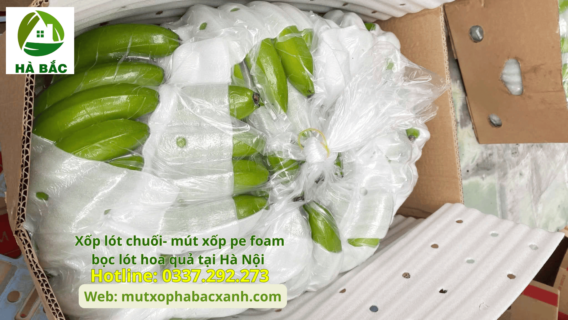 Xốp lót chuối- mút xốp pe foam bọc lót hoa quả tại Hải Dương