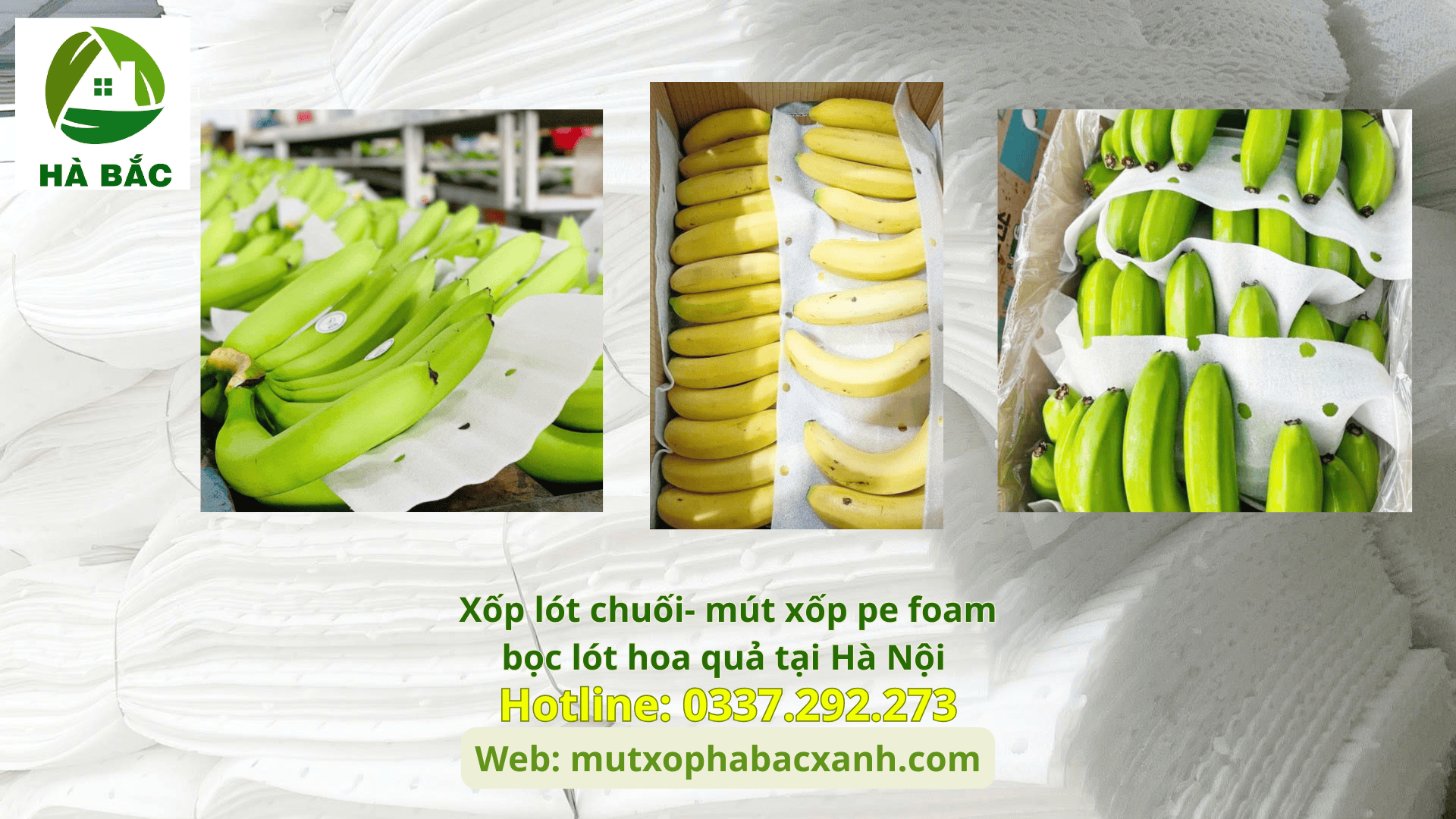 Xốp lót chuối- mút xốp pe foam bọc lót hoa quả tại Hải Dương