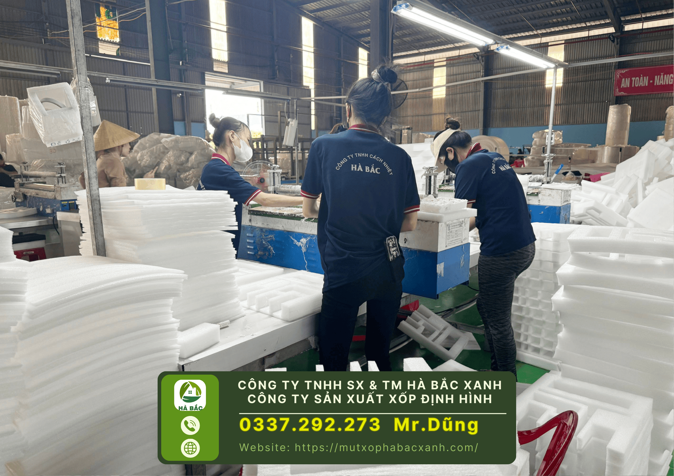 Công Ty TNHH SX & TM Hà Bắc Xanh, Công ty sản xuất xốp định hình